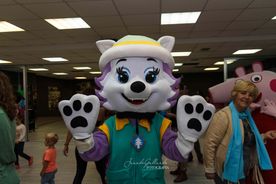 mascota